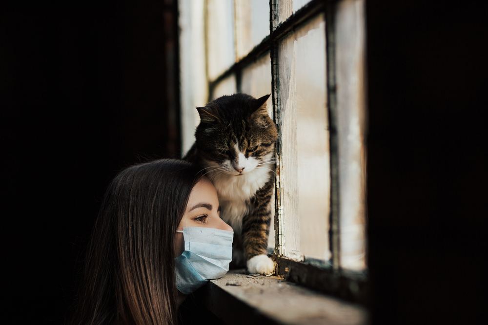 Una imagen que representa a una niña con su triste pero encantador gato.