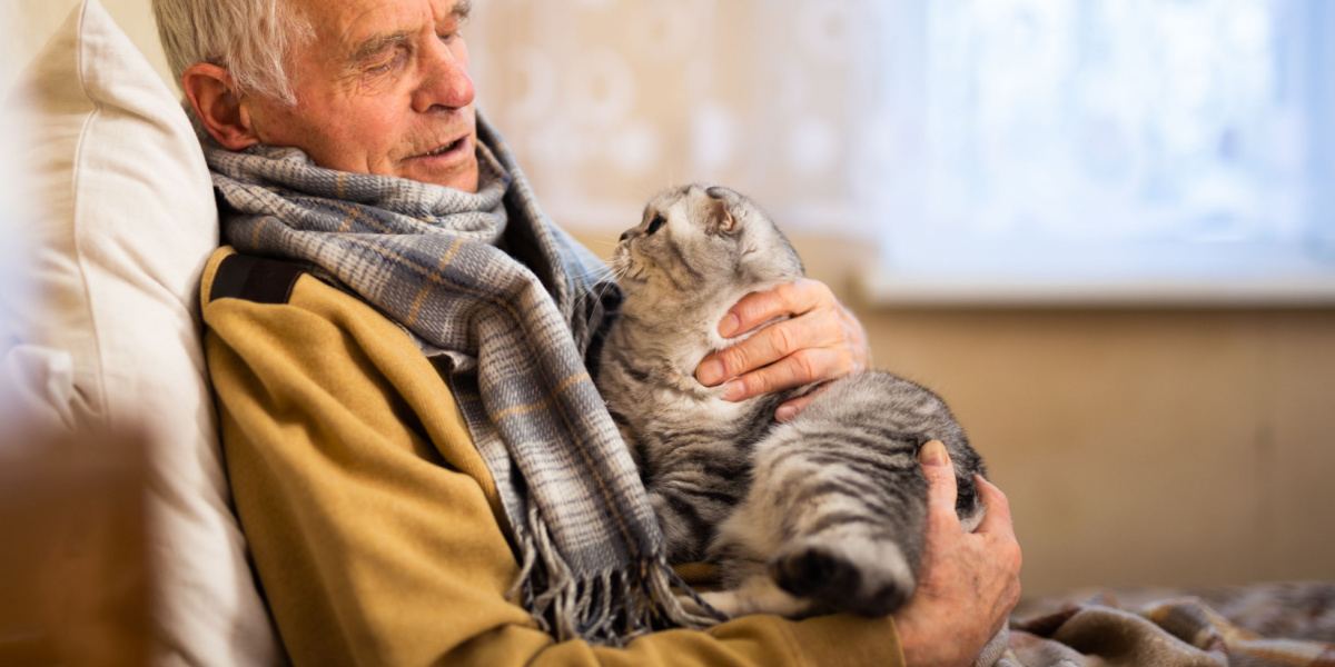 Una imagen que muestra a un hombre mayor de cabello gris con un suéter acogedor sosteniendo un gato Scottish Fold.