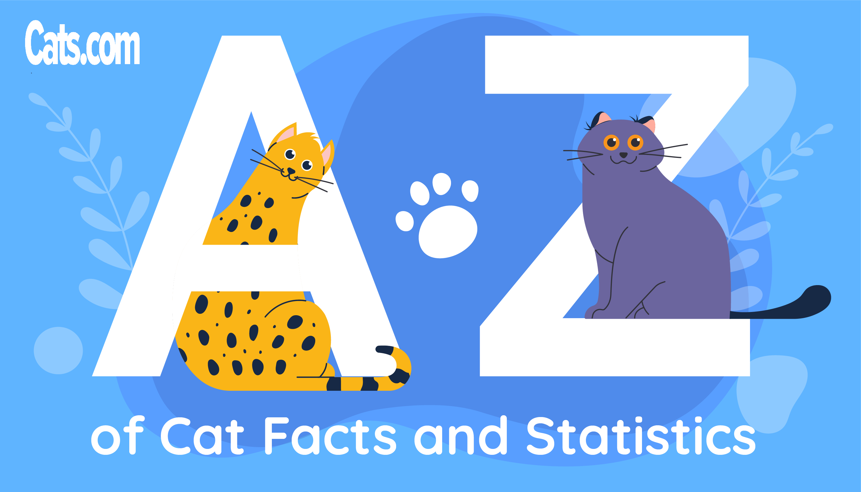 Datos y estadísticas sobre los gatos de la A a la Z