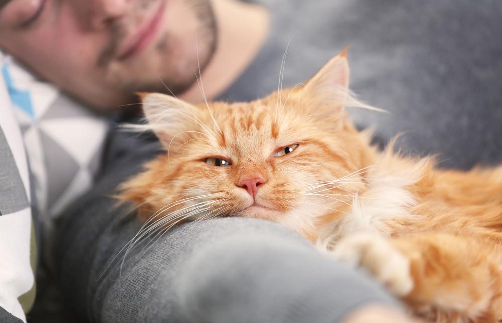 Joven durmiendo con un gato rojo peludo