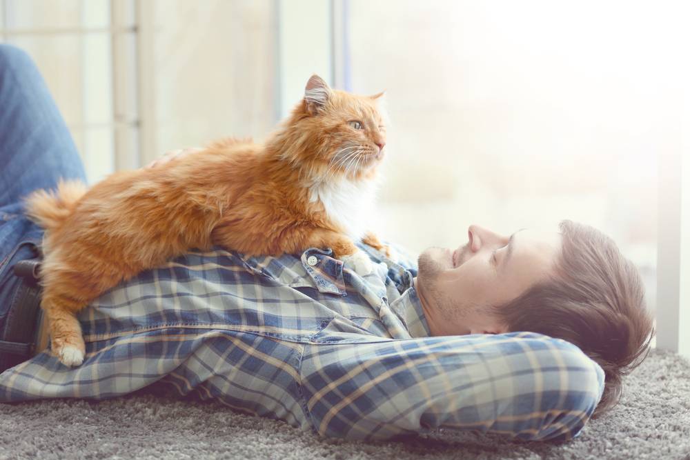 Hombre joven con lindo gato acostado en el suelo