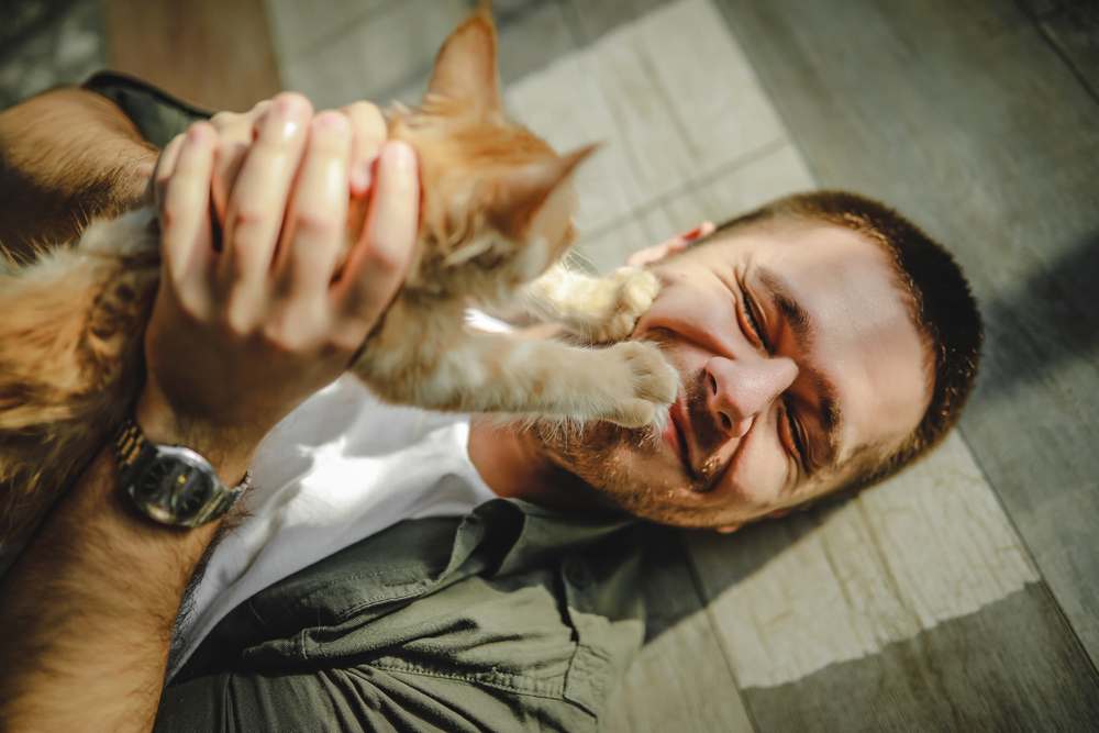 Un chico joven yace en el suelo y abraza a unos gatos Maine Coon.