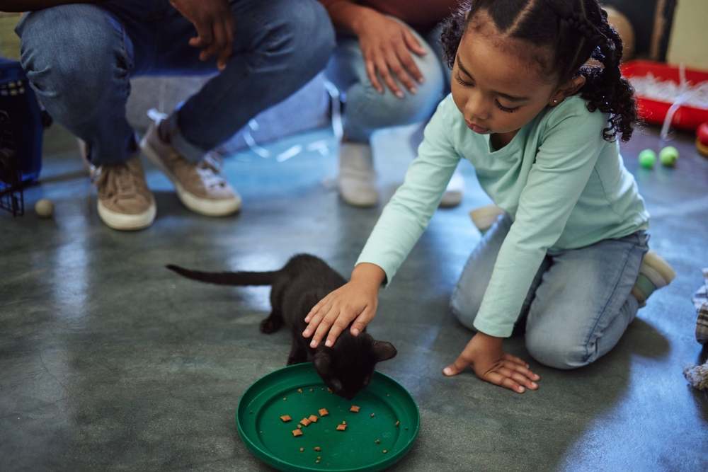 Niña alimentando a un gatito en un refugio de mascotas