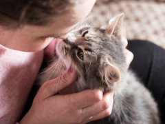 girl kissing cat to nose