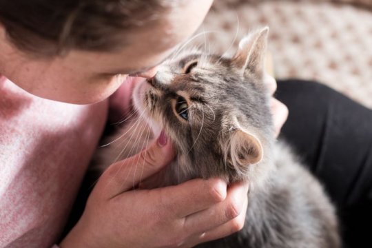 10 Formas en las que tu gato se comunica contigo