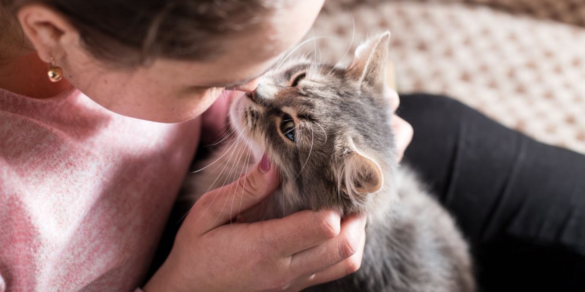 Chica besando al gato en la nariz