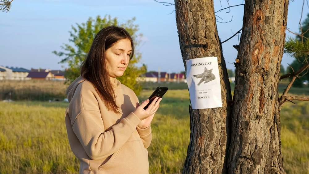 Cartel de gato desaparecido colgado en el tronco de un árbol