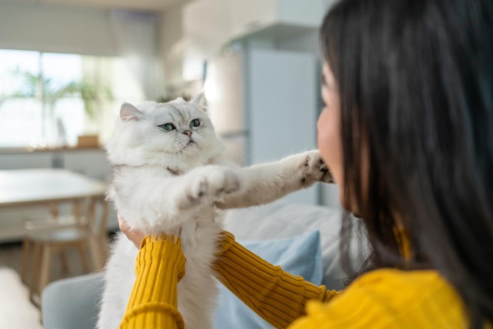 Mujer sosteniendo y jugando con un pequeño gato con felicidad.