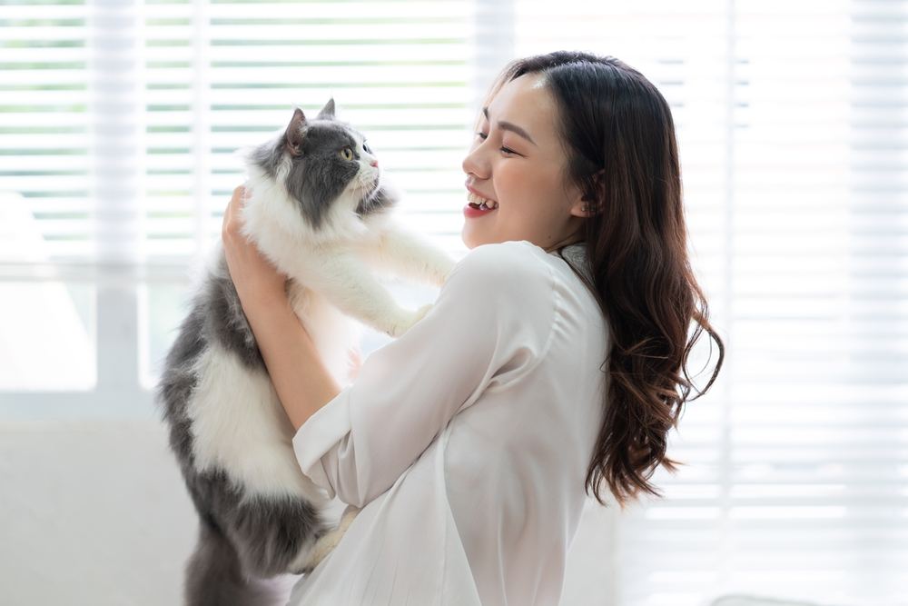 Mujer jugando con gato en casa