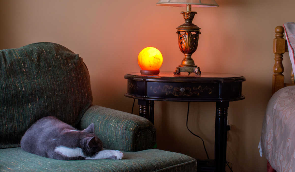 Un gato durmiendo pacíficamente junto a una lámpara de sal del Himalaya, capturando un momento sereno y acogedor en una atmósfera relajante.