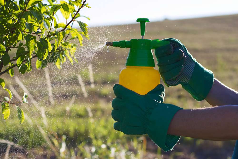 Pulverizador manual con pesticidas en el jardín