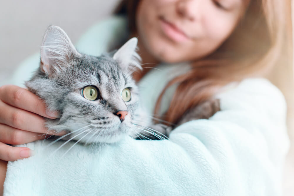 Mujer en casa sosteniendo y abrazando a su adorable gato peludo