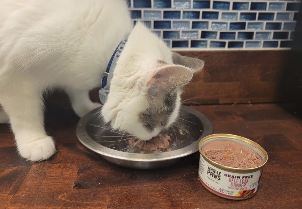 Al gato le gusta comer comida húmeda para gatos