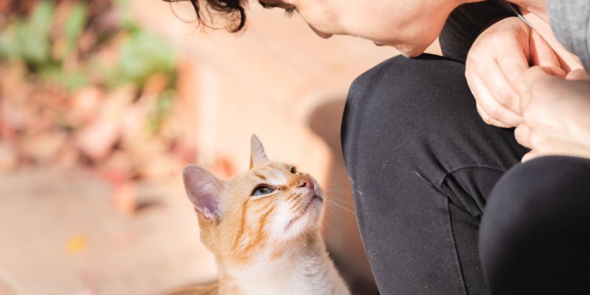 Joven cuidadora de gatos mirando con cariño