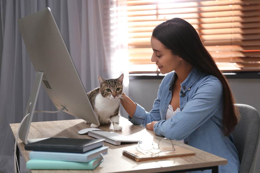 Mujer joven acariciando a un gato en la mesa