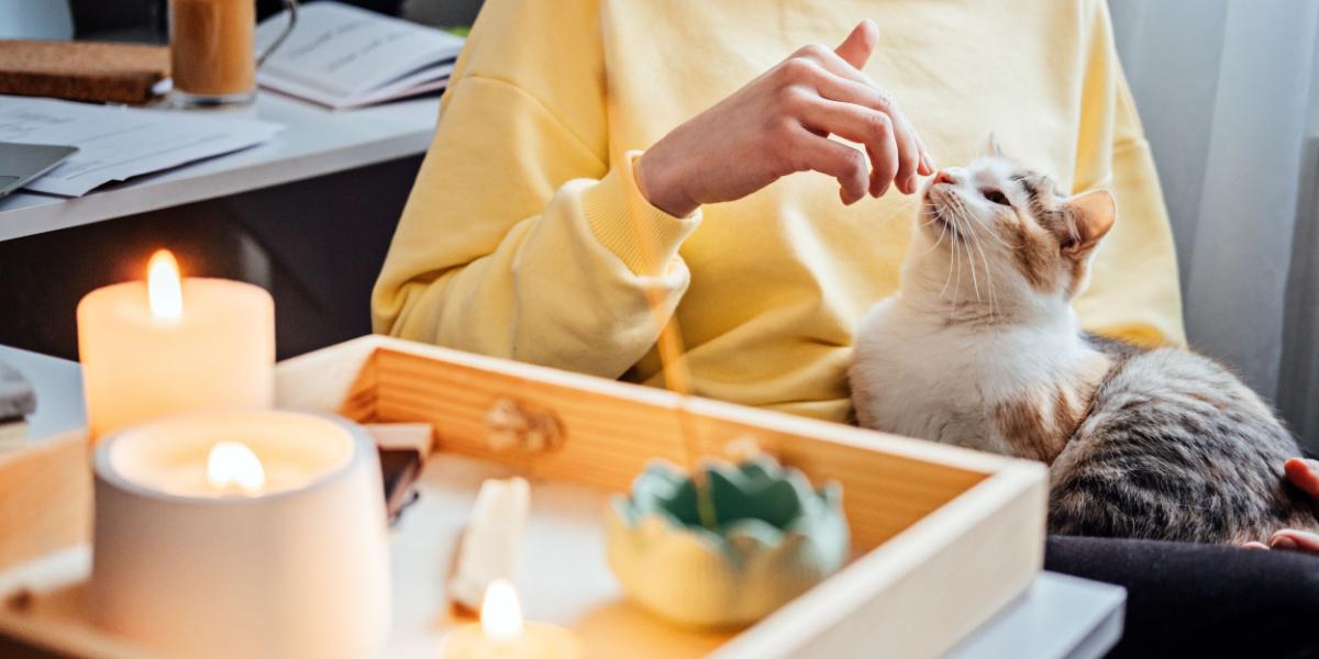 un gato sentado cerca de una mesa con velas encendidas, enfatizando el peligro potencial de incendio y la necesidad de precaución.