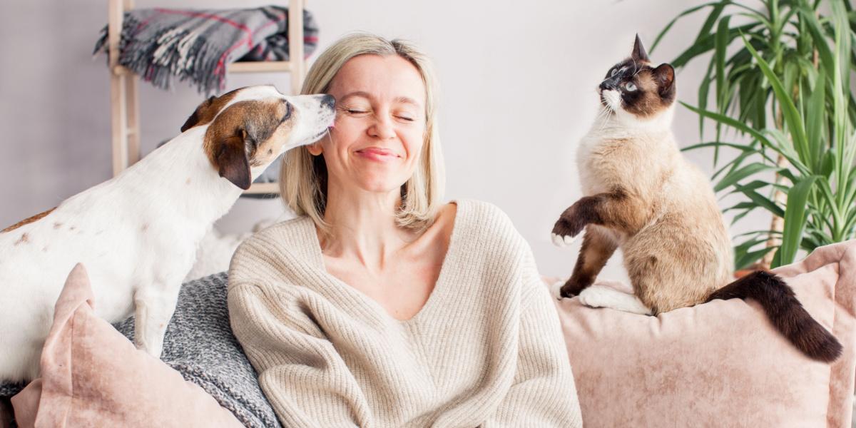 La mujer está descansando en el sofá con un perro y un gato.