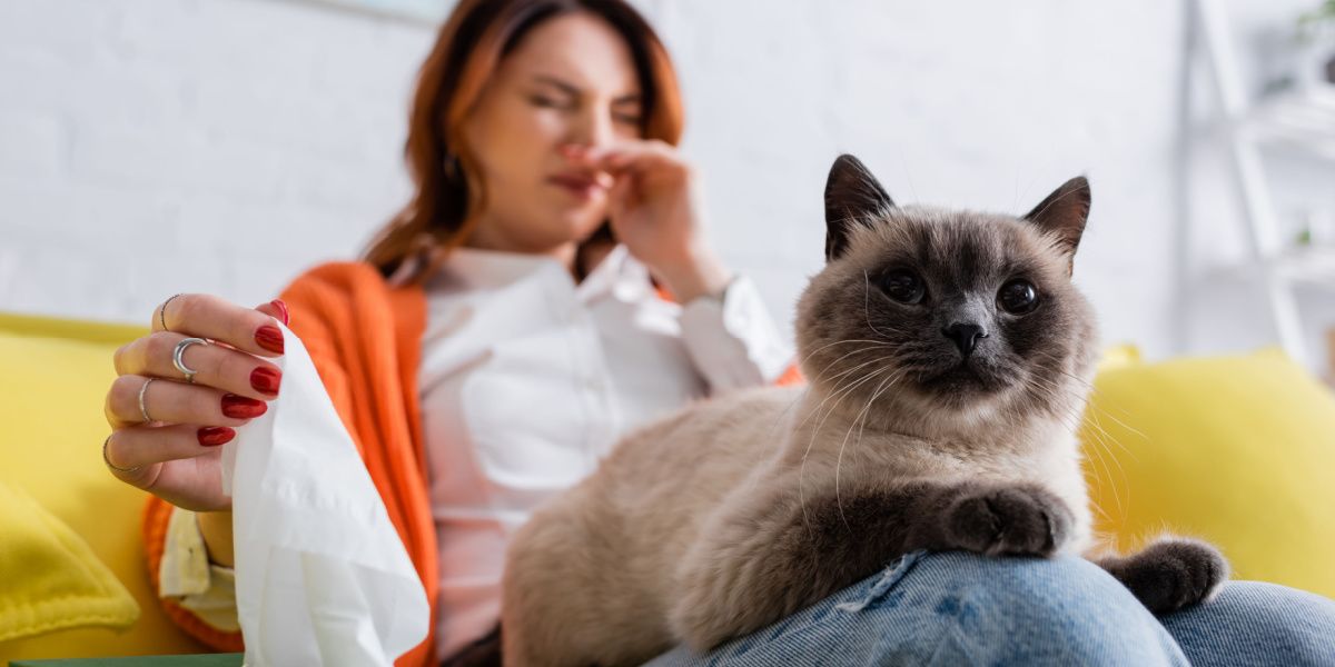 Gato cerca de una mujer estornudando