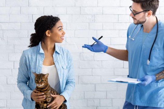 ¿Qué pasa si no puedes pagar la atención veterinaria para tu gato? Hay opciones