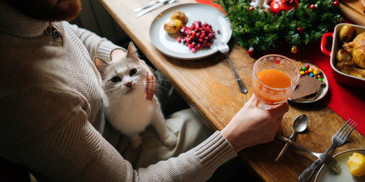 Gato en el regazo de un hombre, en una mesa festiva