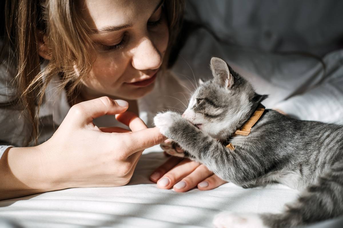 Mujer joven jugando con un gatito atigrado gris