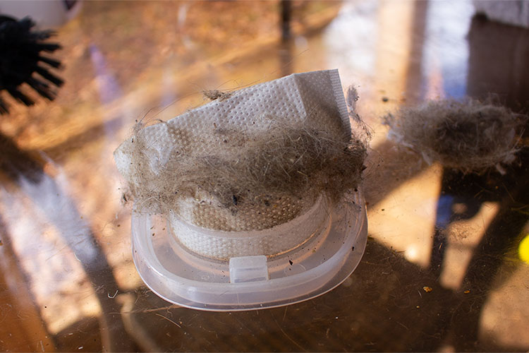 Un pequeño filtro de papel para aspiradora con pelo de gato y residuos de la limpieza de un árbol para gatos.