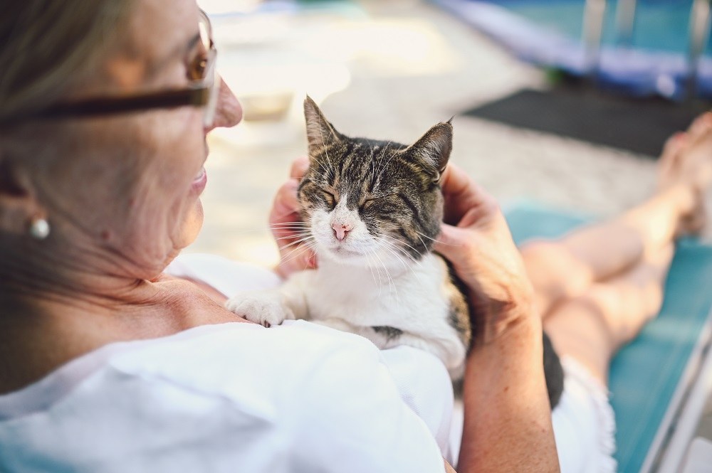 Mujer mayor feliz abrazando a un gato atigrado doméstico