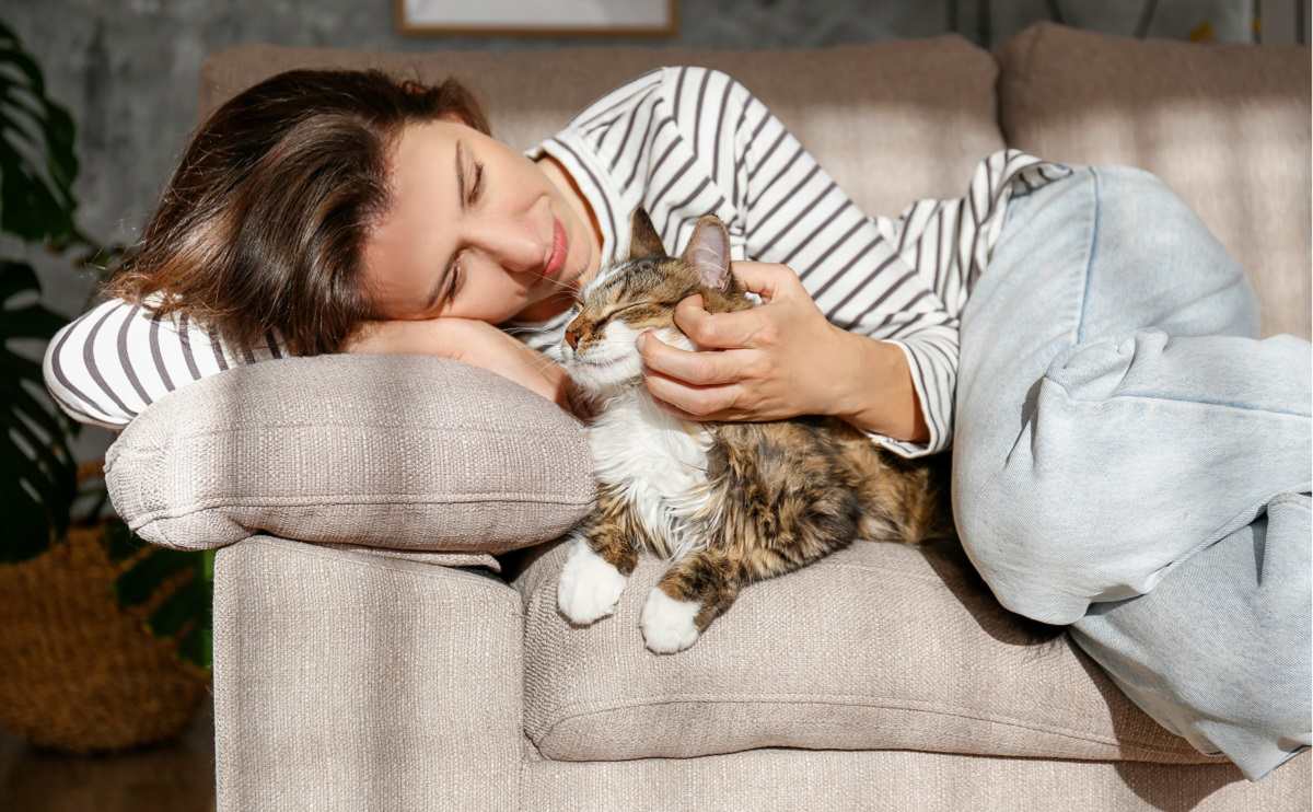 Retrato de una mujer joven sosteniendo un lindo gato siberiano con ojos verdes