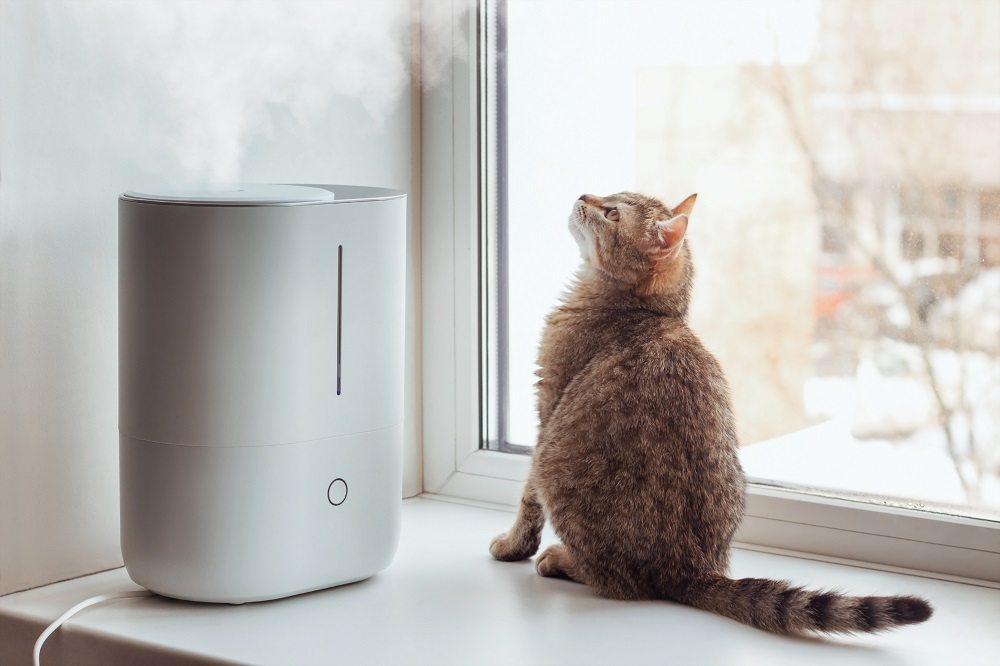 Un gato atigrado joven se sienta en el alféizar de la ventana y mira el vapor del humidificador de aire blanco.