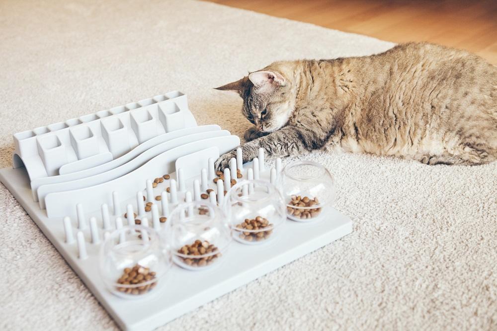 El gato juega con la comida en el comedero lento