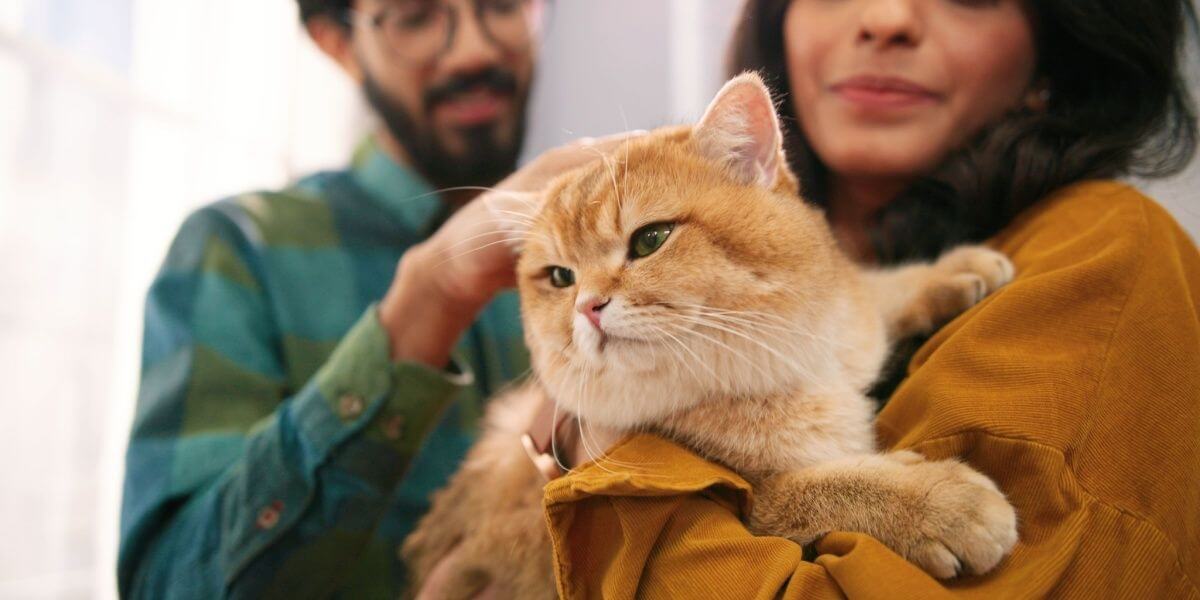 Una pareja india con su gato naranja de pelo corto.