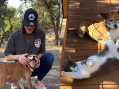 maraFeral Cat Scared Of Humans, Becomes BFFs With Rescue Dog