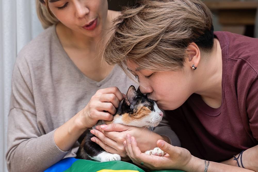 Pareja abrazando a un gato