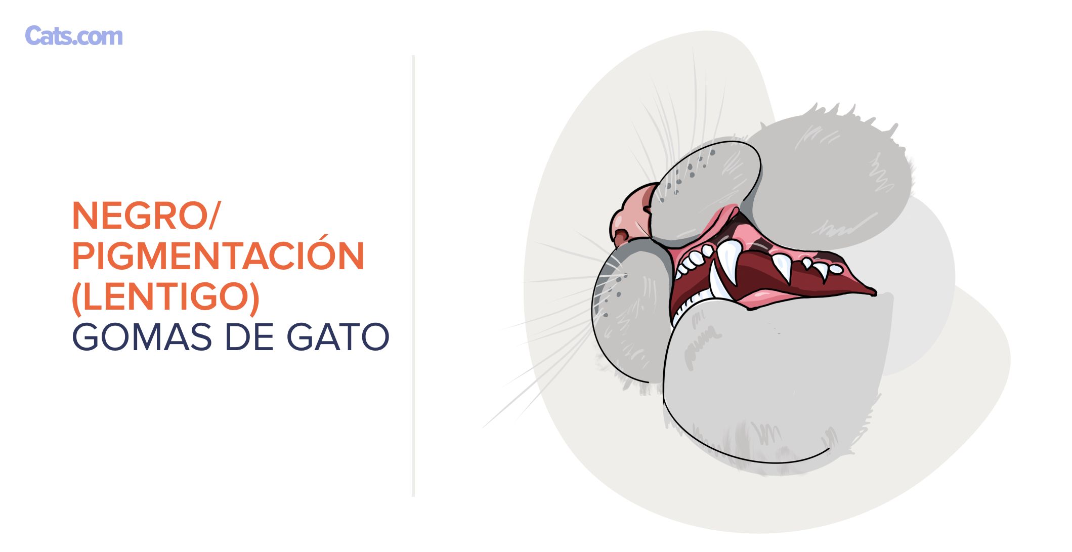 Negro/Pigmentación (Lentigo)