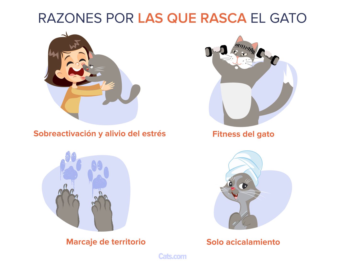 ¿Por qué los gatos arañan