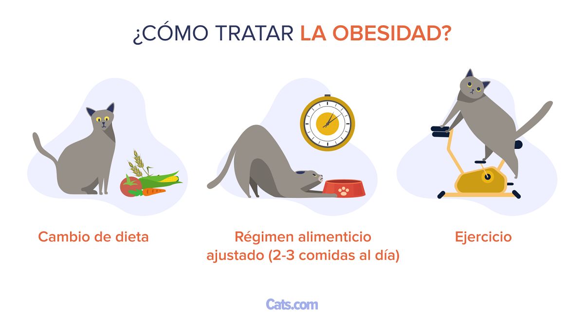 Cómo tratar la obesidad
