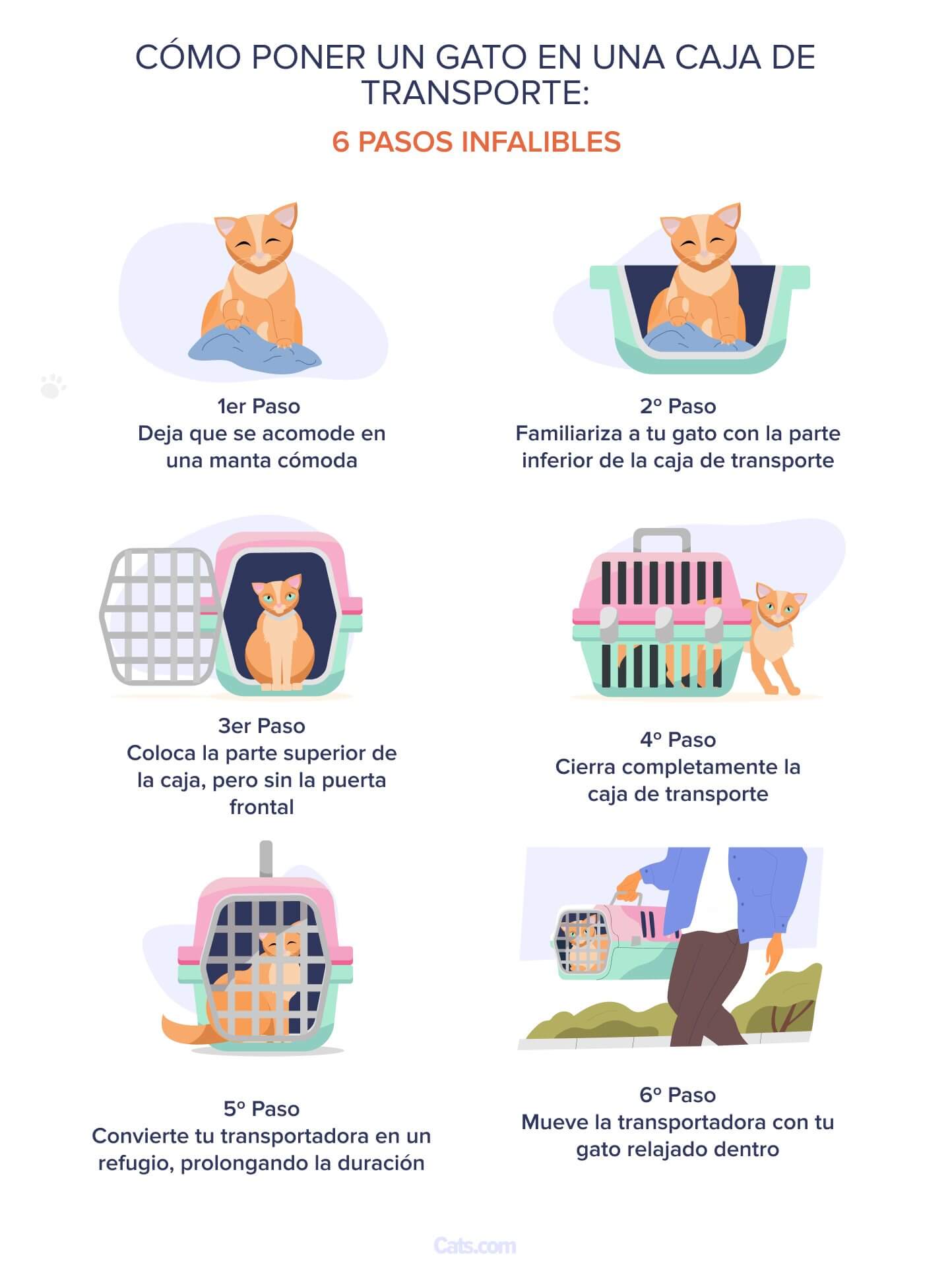 Guía de entrenamiento paso a paso para colocar a un gato en un transportín
