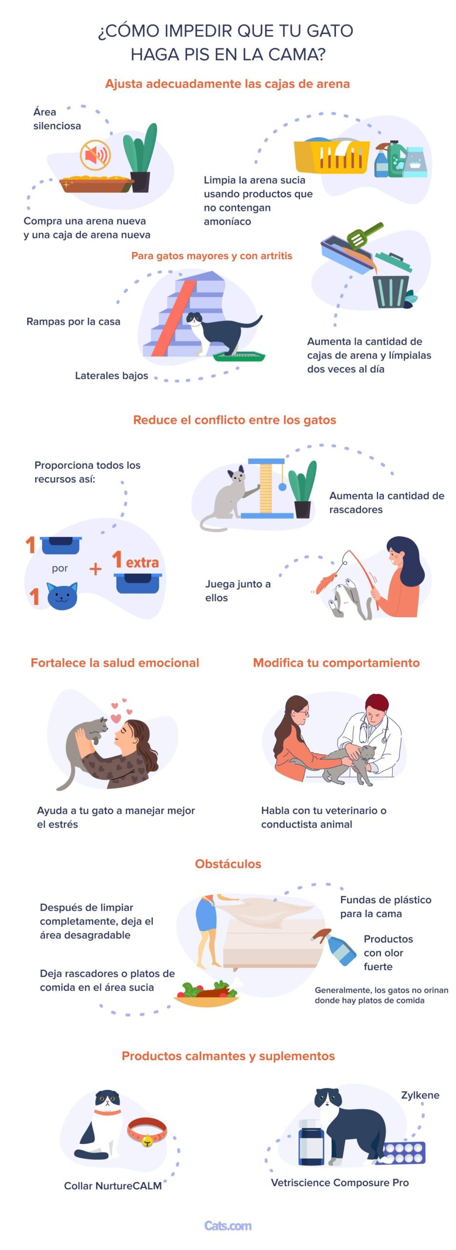 ¿Cómo evitar que tu gato orine en la cama?