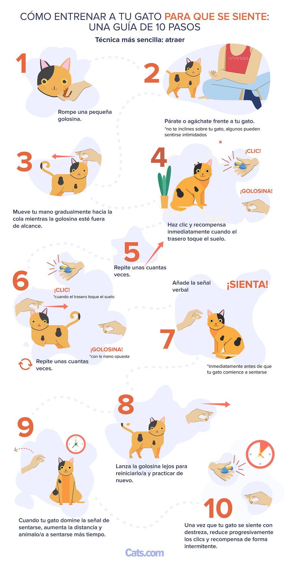 ¿Cómo entrenar a un gato para que se siente paso a paso?