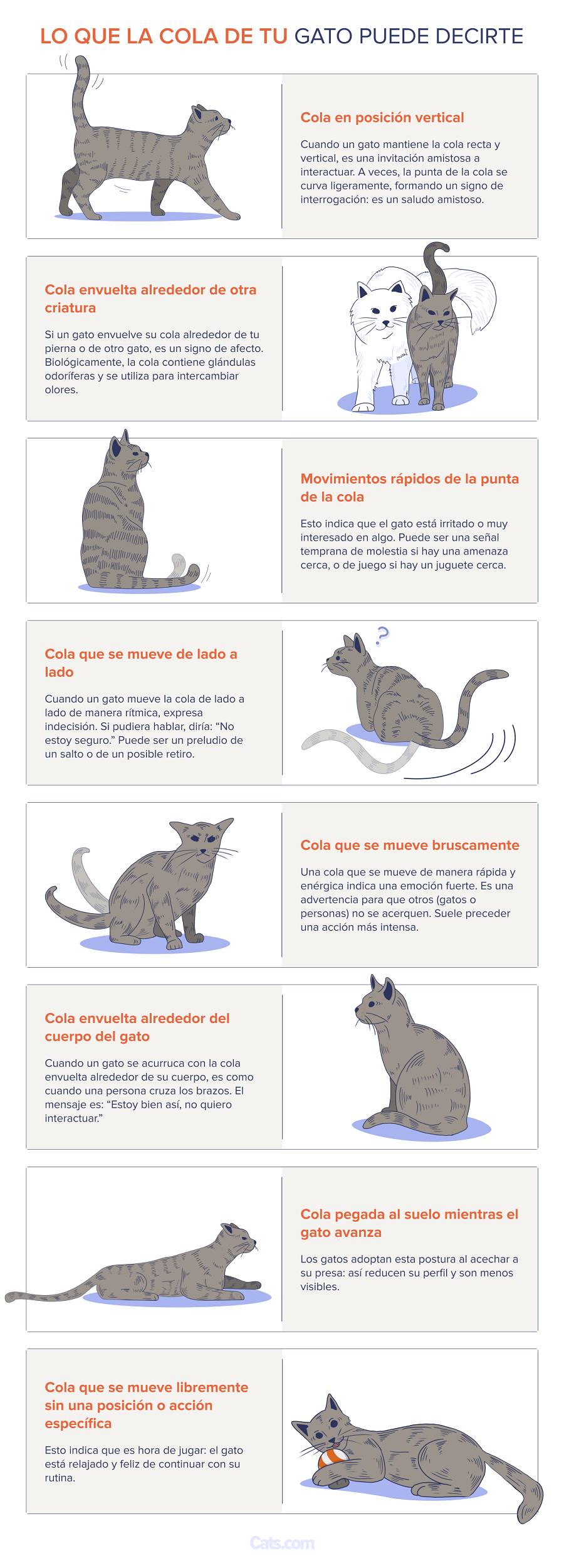 Lenguaje de cola de gato