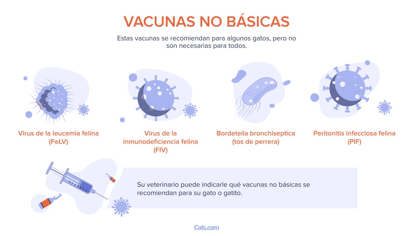 vacunas no esenciales
