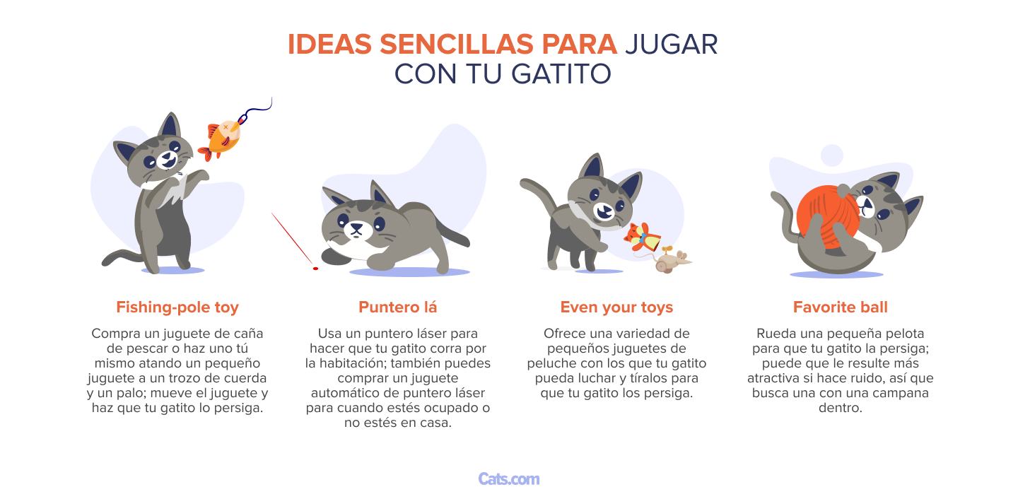 Aquí tienes algunas ideas sencillas para jugar con tu gatito: