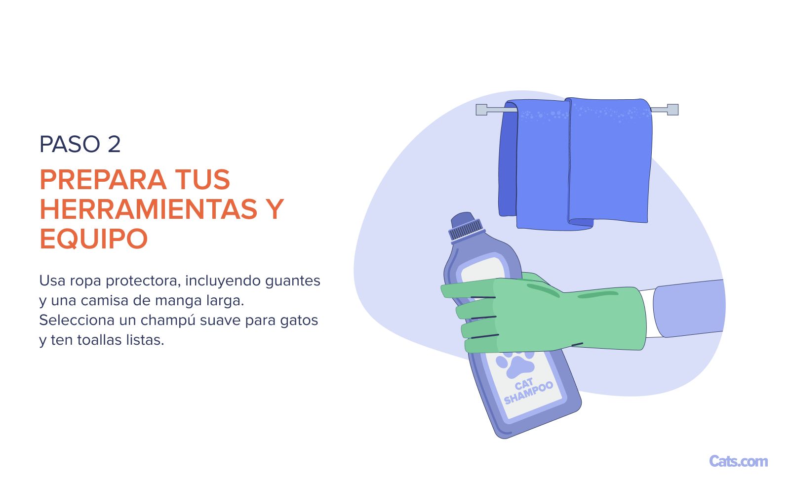 Paso 2: Configuración de herramientas y productos