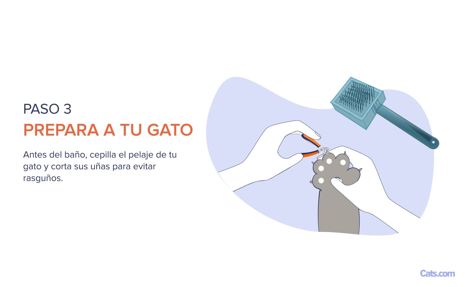 Paso 3: Preparación antes del baño