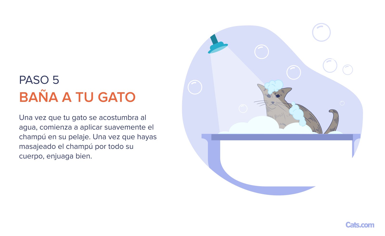 Paso 5: Bañar al gato
