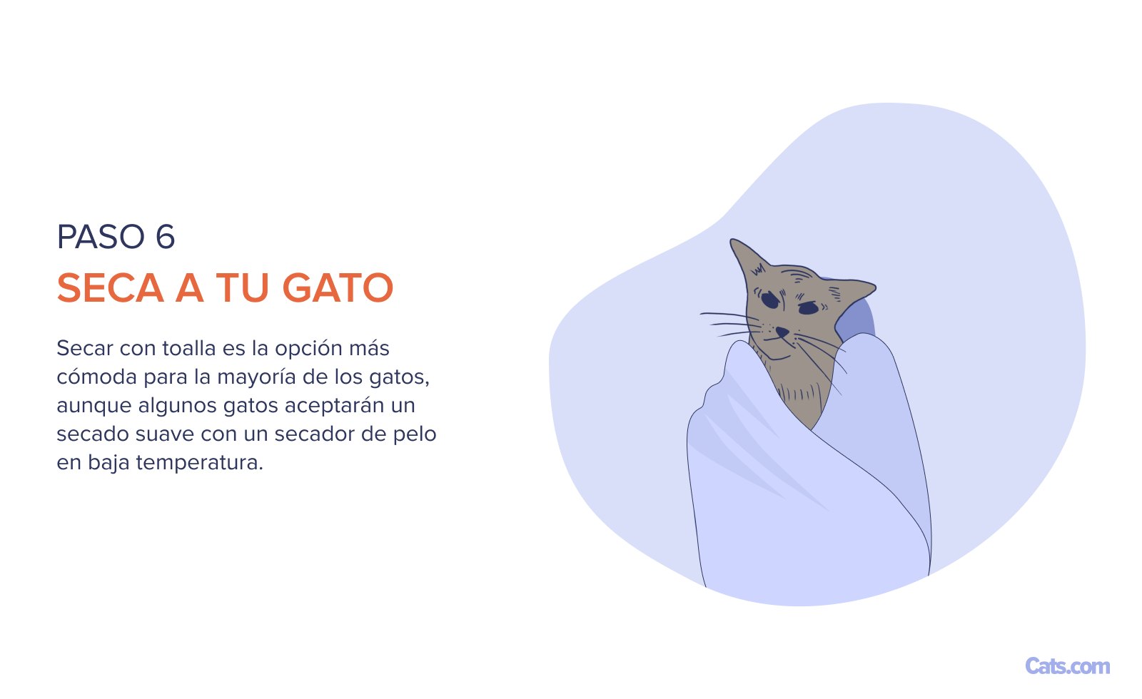 Paso 6: Proceso de secado