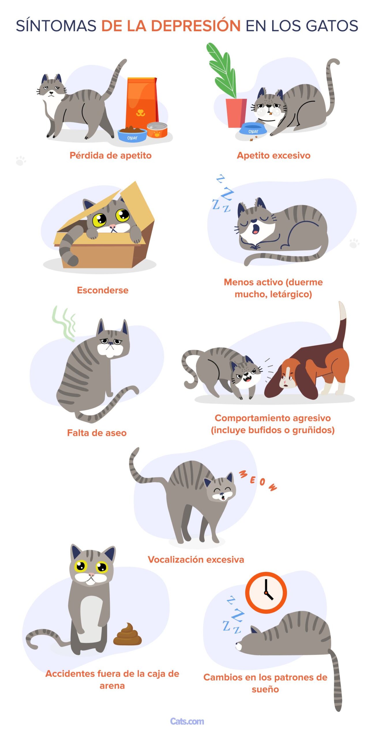 Signos de depresión en los gatos