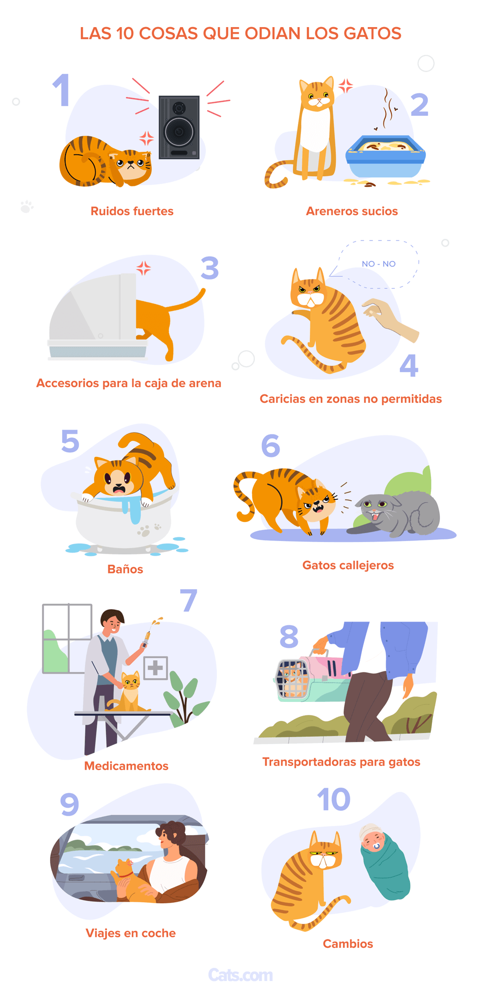 Infografía: Las 10 Cosas que los Gatos Odian Más