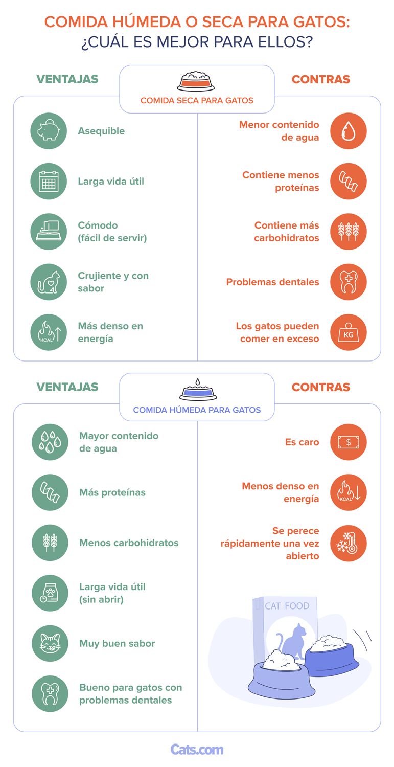 Wet vs Dry Cat Food_ What’s Better For Cats_es