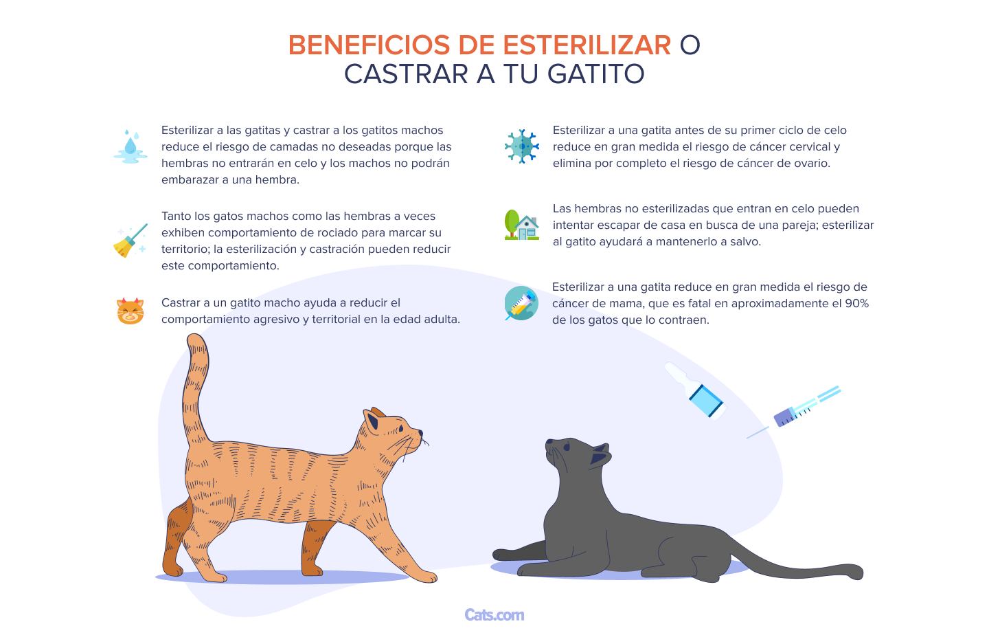Esteriliza a tu gatito